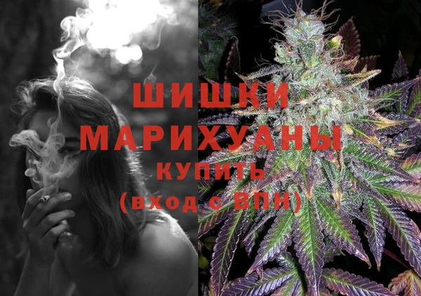дурь Белокуриха
