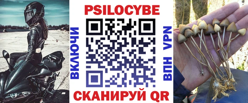 где найти наркотики  ОМГ ОМГ ONION  Псилоцибиновые грибы ЛСД  площадка клад  Красавино 